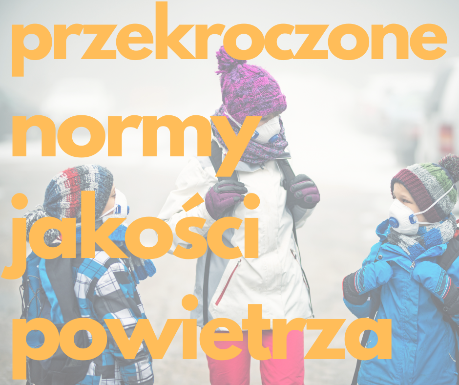 grafika informacyjna